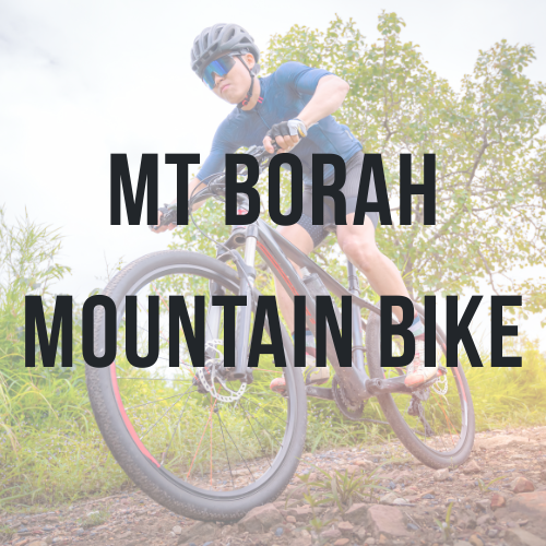 Mt Borah Mountain Bike